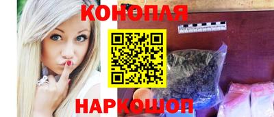 прущие грибы Гусиноозёрск
