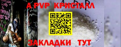 прущие грибы Гусиноозёрск