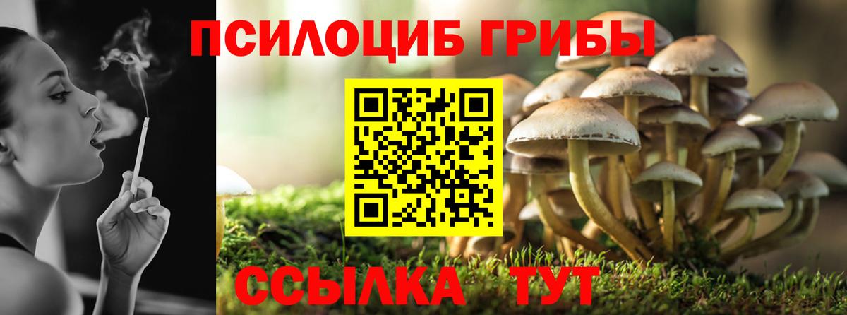 Галлюциногенные грибы мицелий  Псилоцибиновые грибы Psilocybe  Вход с VPN  Мурино 