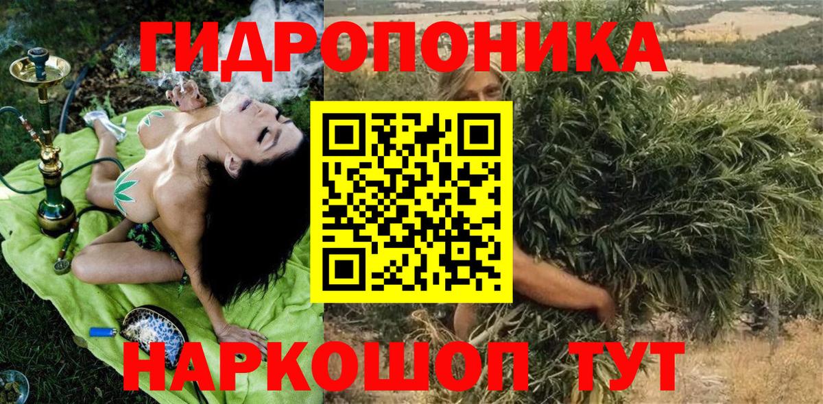 Бошки марихуана марихуана  Бошки марихуана планчик  Вход с VPN  Бошки Шишки THC 21%  Мурино  Шишки марихуана Bruce Banner 